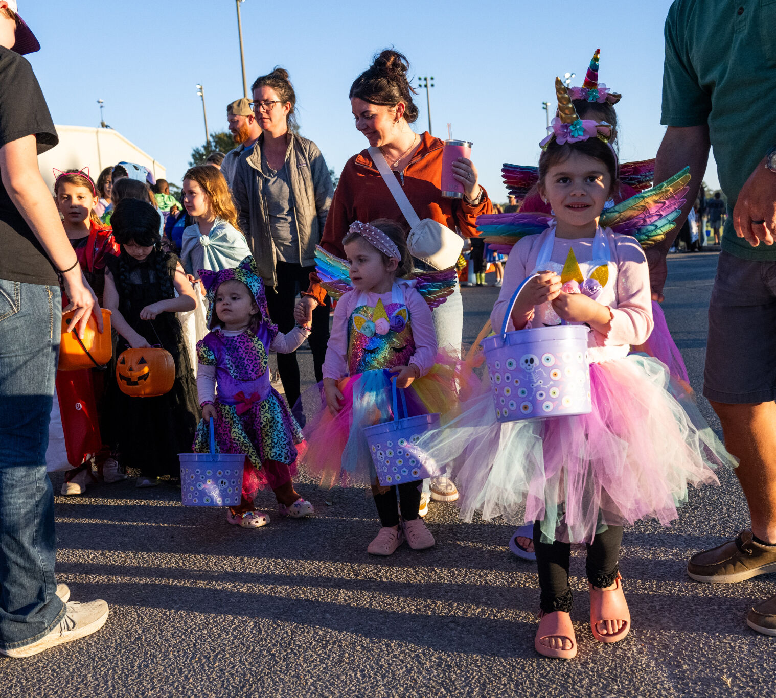 BR.wftrunktreatxtra.102324_7337 MJ.JPG
